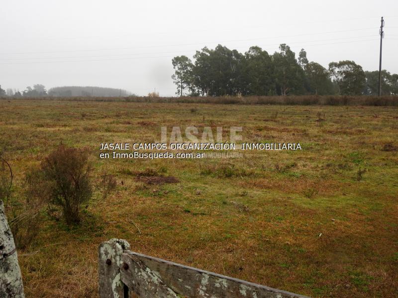Campo en Venta