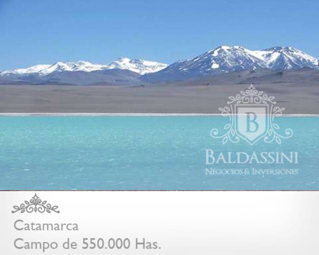 CAMPO DE 520.000 HECTÁREAS EN CATAMARCA CON MINERÍA Y  POSIBILIDADDEAGRICULTURA/GANADERÍA / CON ESCRITURAS PERFECTAS /