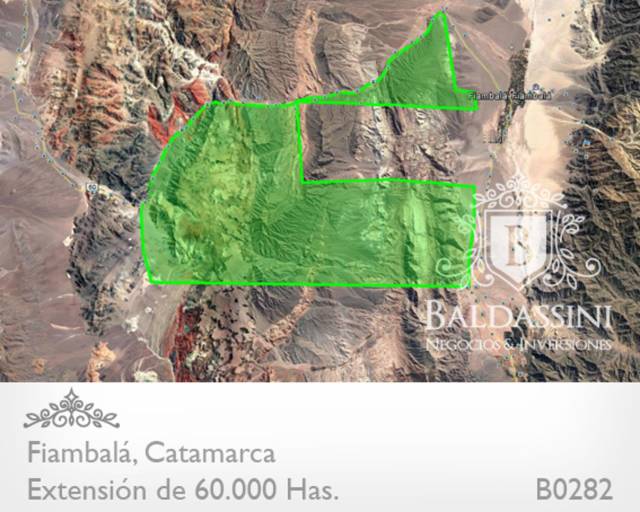 Campo 60.000 ha. Fiambalá, Catamarca