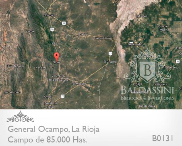 CAMPO MIXTO DE 85.000 HA. EN GENERAL OCAMPO, PROVINCIA DE LARIOJA,REPÚBLICA ARGENTINA.