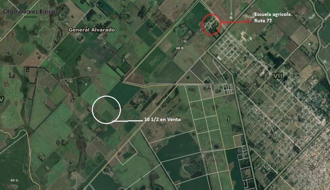 Campo en Venta Santa Irene de Miramar. Estado Muy Bueno. Apto Crédito