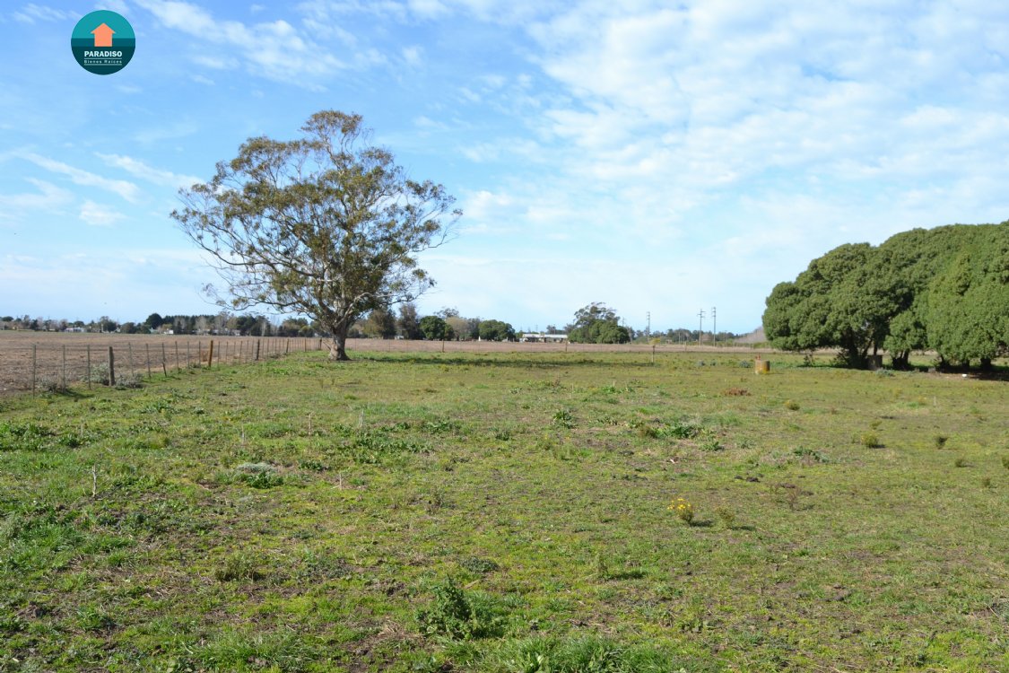 Lote o Terreno en Venta Centro de Mar del Sud. Estado No Corresponde. Apto Crédito