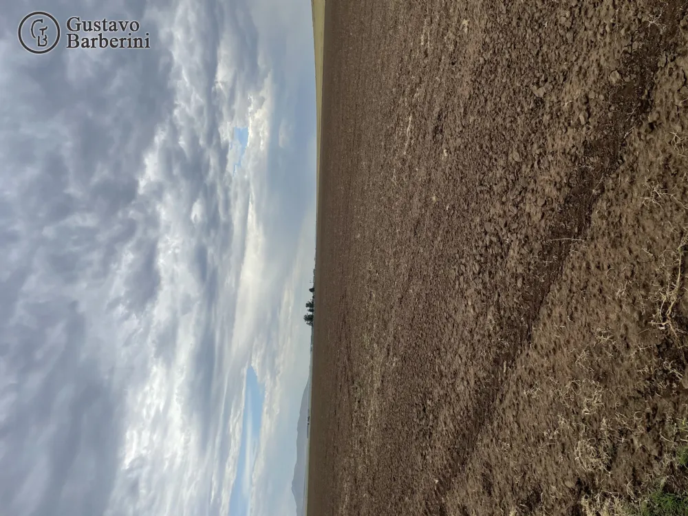 Campo en Venta San Martin de Bahia Blanca. Estado Muy Bueno. Apto Crédito