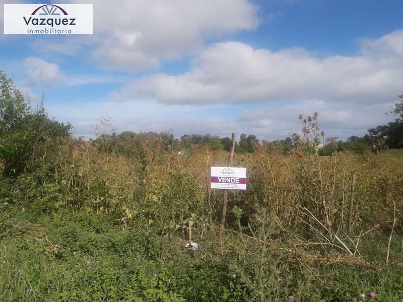 Lote o Terreno en Venta Quintas de Miramar. Estado Muy Bueno. Apto Crédito
