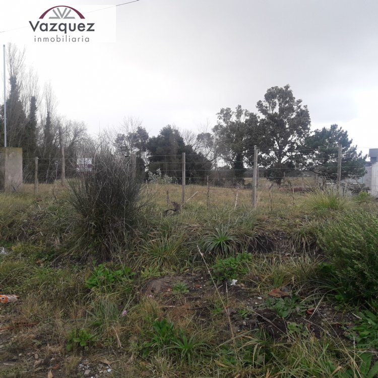 Lote o Terreno en Venta Parquemar de Miramar. Estado Muy Bueno. Apto Crédito