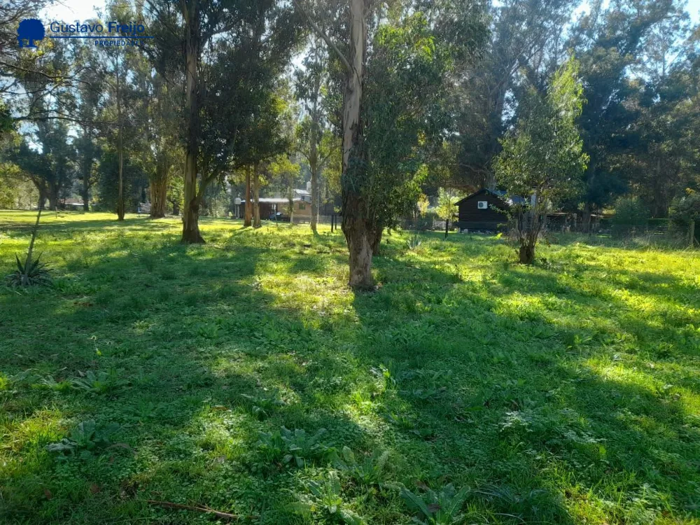 Lote o Terreno en Venta Bristol de Miramar. Estado Muy Bueno. Apto Crédito