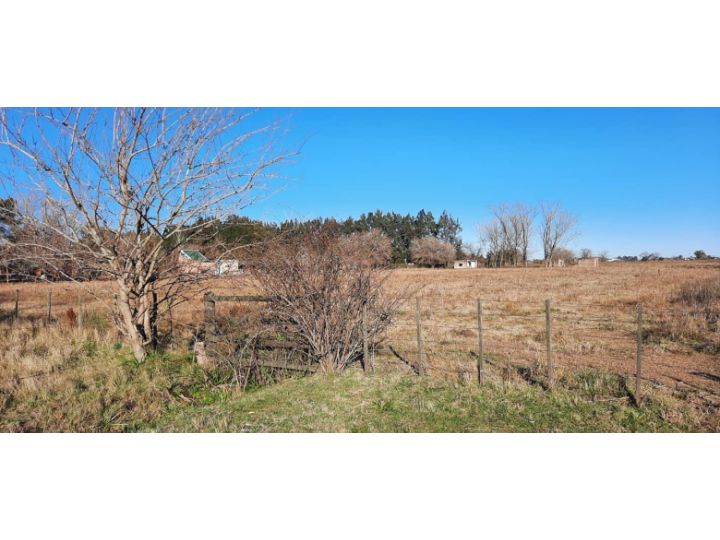 FRACCION DE CAMPO EN IBARLUCEA RUTA 34 S  57.189.- M2
