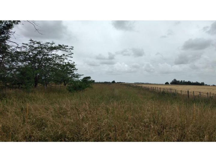 35 ha en San Miguel del Monte/ Videla Dorna