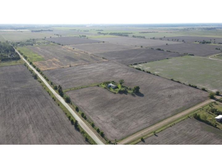 Campo De 54 Has En Ibarlucea, Ideal Desarrollo Inmobiliario