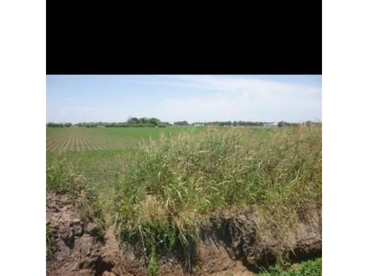 INMOBILIARIA VENDE CAMPO EN V.G.G.
