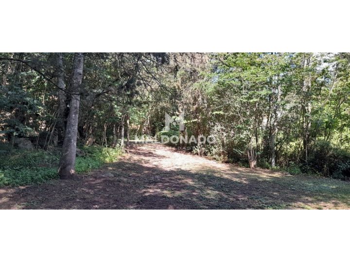 Lote en venta en Salsipuedes