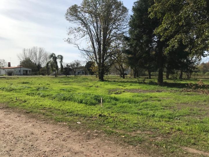 Terreno Ibarlucea - Barrio Los Nogales - Lote 4 - Frente calle Alfredo Schilla