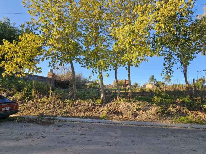 Lote de 236 m2 (8,20 x 28,79) sobre asfalto, con agua, cloaca y luz.