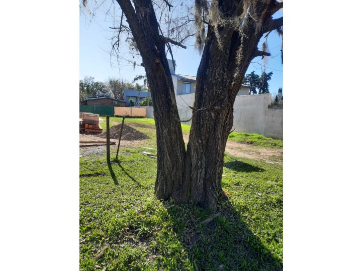 TERRENO -  ROLDAN  - BARRIO LOS OLMOS