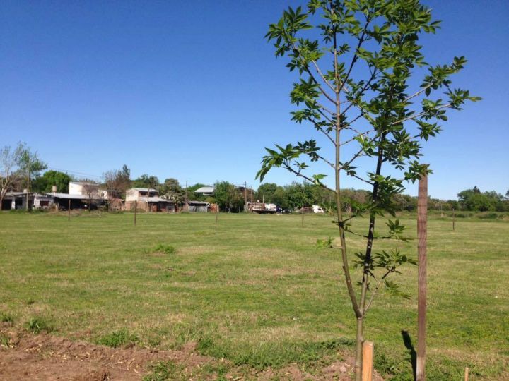 VENTA LOTE  GRANADERO BAIGORRIA