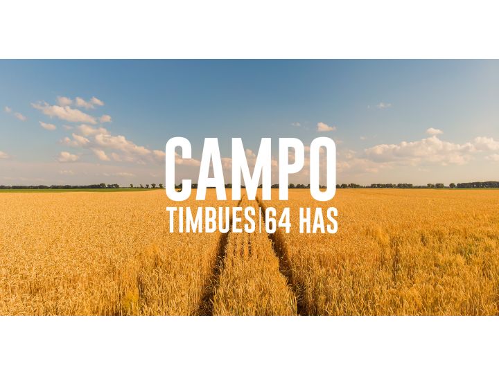 Campo en Timbues, Santa Fé. Ideal urbanización