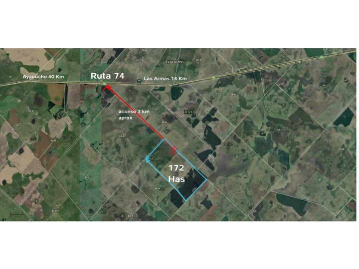 Venta Campo 172 Has  Partido de Ayacucho.  a 3 km de ruta 74