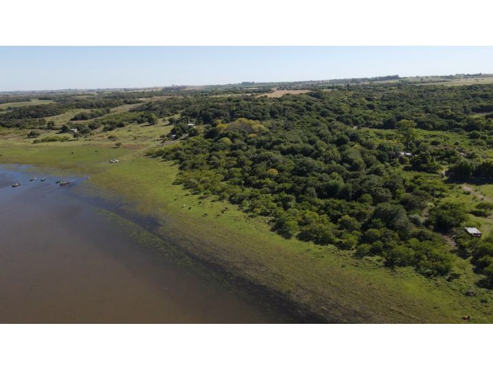 Campo de 10 has arbolado sobre la costa, Rincon de Nogoya