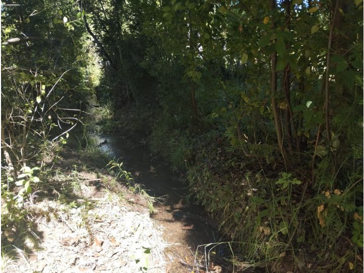 (035) EL BOLSON (Mallin Ahogado) Terrenos en condominio de 1.950mts2