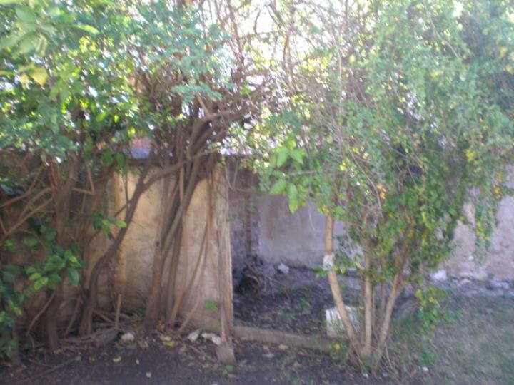 Esmeralda 2280 - Casa 2 dormitorios.