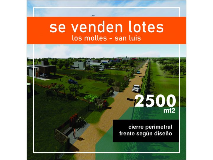 VENTA DE  LOTES DE CAMPO DE  EN LOS MOLLES - SAN LUIS
