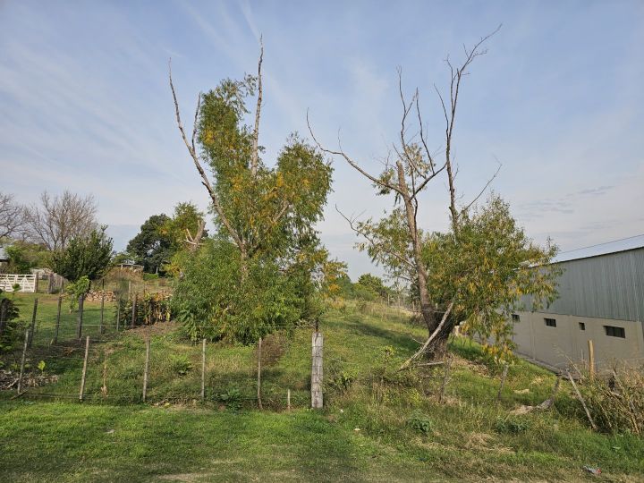 Amplio terreno de 2286 m2  en zona cabecera puente Rosario Victoria, excelente superficie y ubicación!