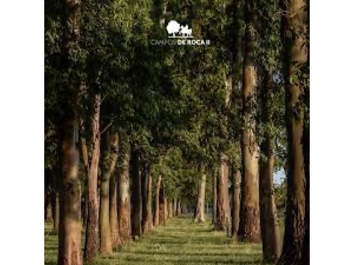 VENTA DE LOTE. CAMPO DE ROCA 2. BRANDSEN. LA PLATA
