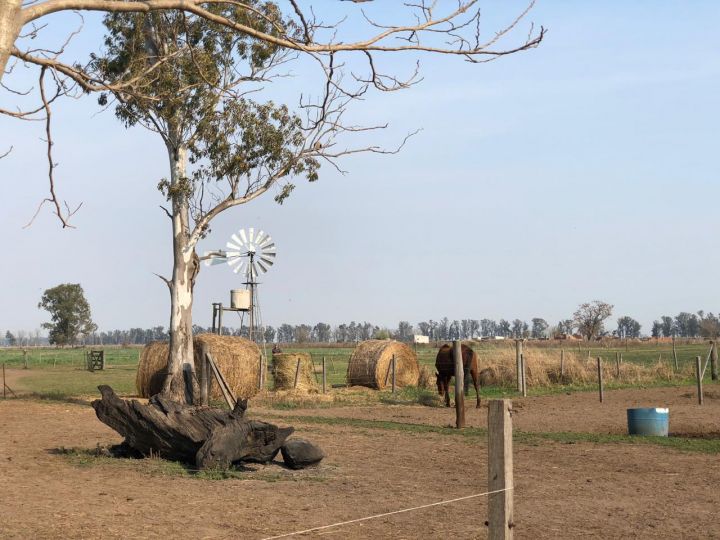 Alquiler Campo  12 hectareas en Ibarlucea