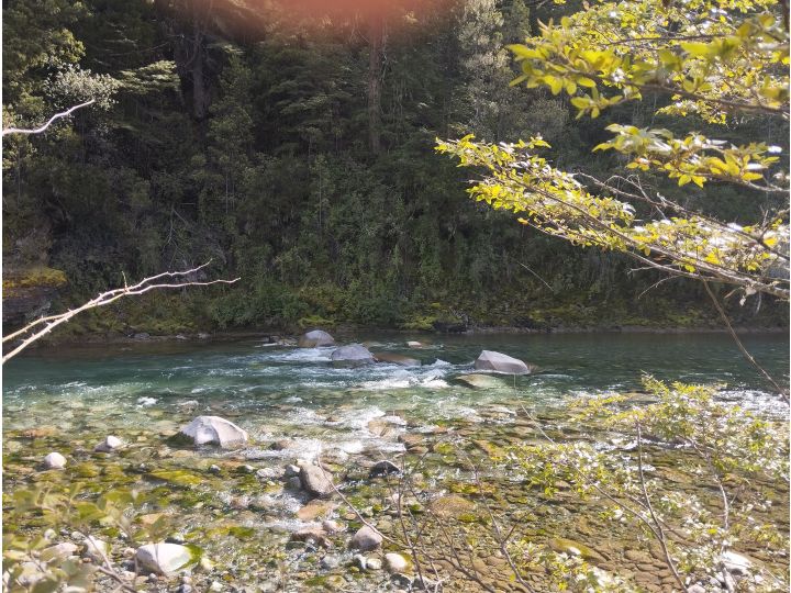 (051) EL BOLSON, Terreno de 1/2 Ha frente a camino con costa de Rio Azul