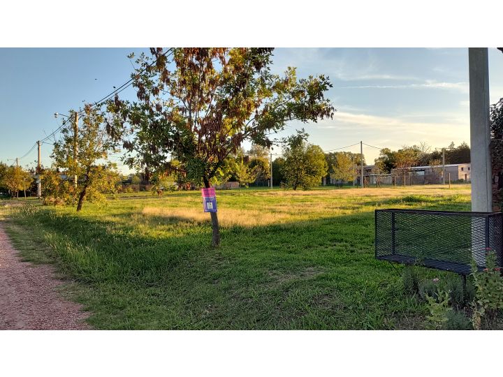 Ibarlucea: Calle 3 y Rivadavia, Barrio abierto Don Hector terreno en esquina de 477 m2, Santa Fe Argentina