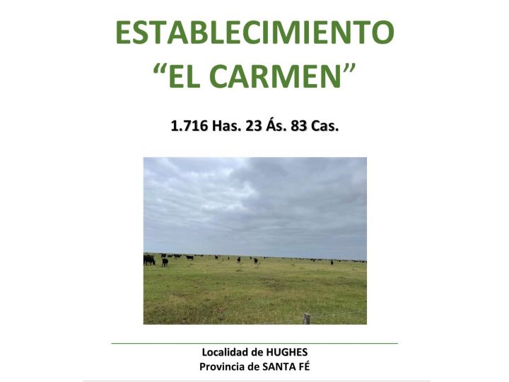 EN VENTA 1.716 Has Ganaderas y mixtas en HUGHES, Santa Fe