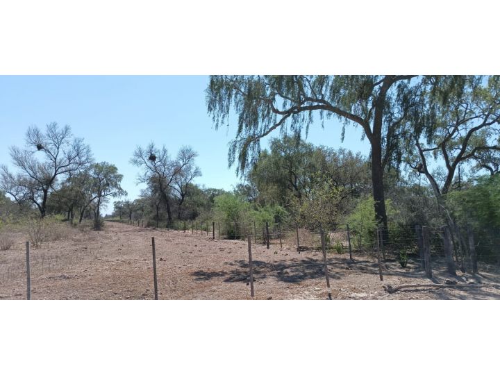 Campo 1100has todo monte, Figueroa, Sgo del estero