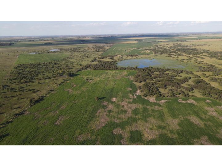 Campo mixto de 200 has, sexto Gualeguay