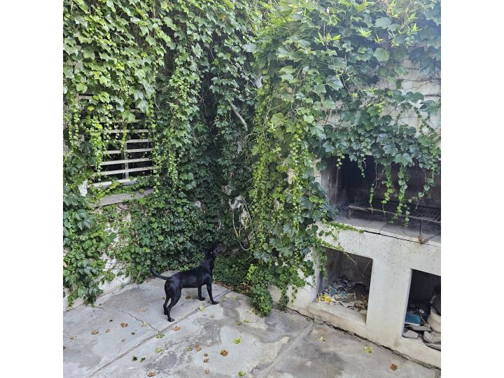 LA PAZ AL 700 | CASA EN PH EN PLANTA BAJA A RECICLAR DPTO. DE 1 DORMITORIO COMO NUEVO | 148 M2