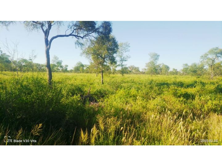 Venta de campo ganadero 1.200 HAS Figueroa, Santiago del Estero