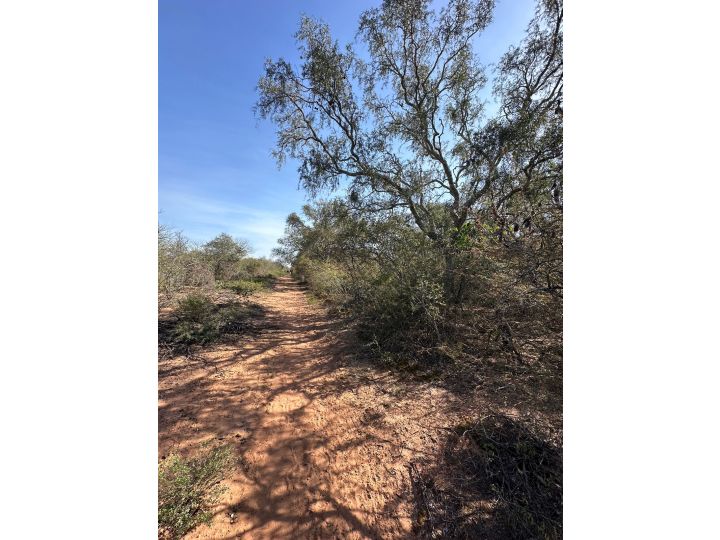 Venta de Campo 2.700 HAS en La Paz, Catamarca