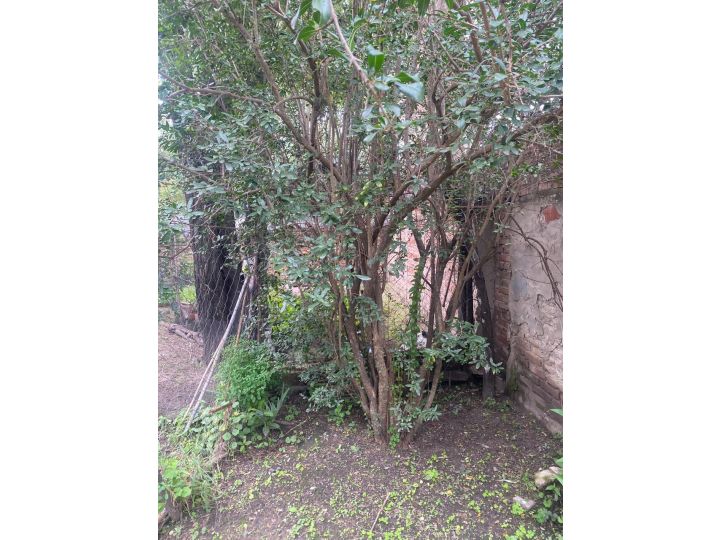 VENTA CHALET EN VILLA ALLENDE CONDOR BAJO