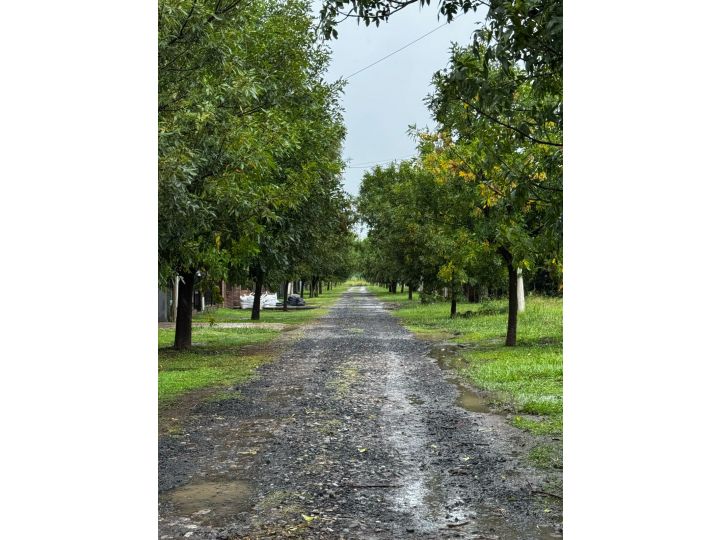 Lote en Punta Chacra con escritura!!!
