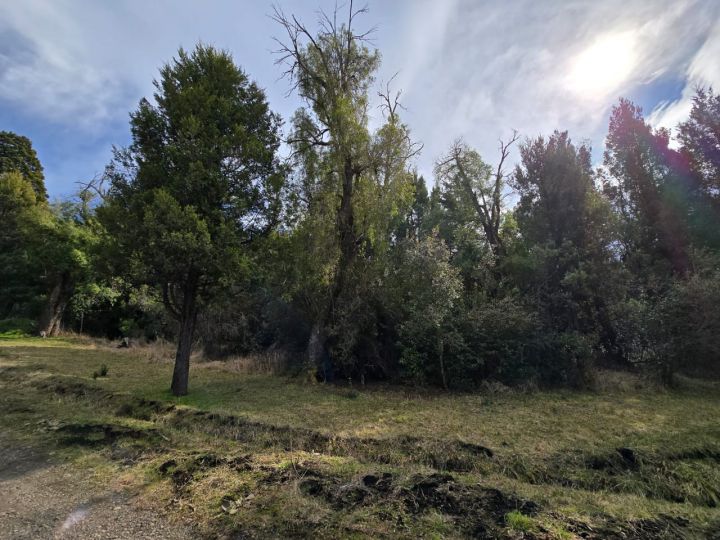 TERRENO DE 1 Ha EN PARQUE LAGUNA BRYCHAN