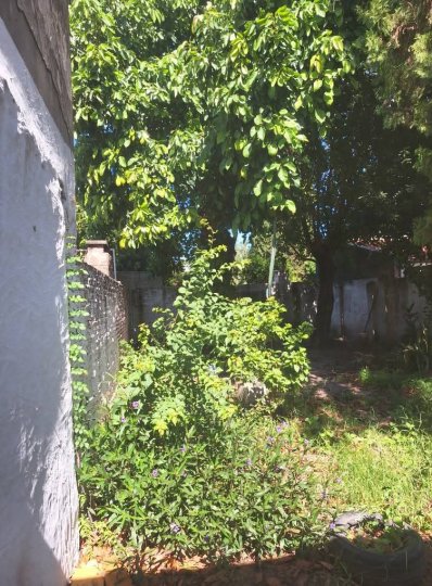 CASA DE 2 DORMITORIOS  A  RECICLAR