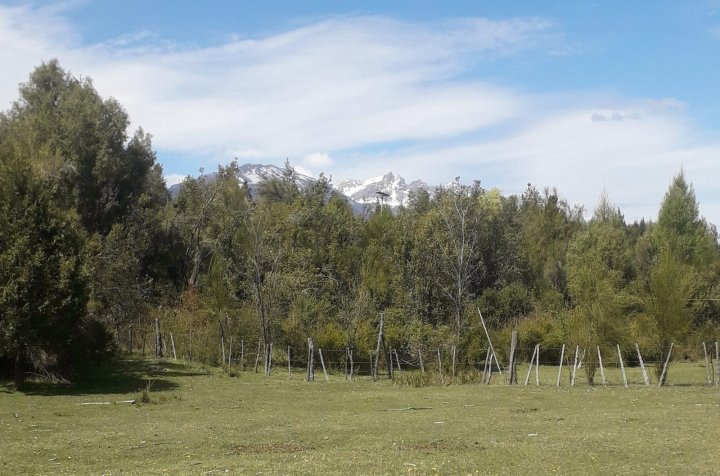 (070) Bolsón (Mallín Ahogado) Chacra de 6 Has