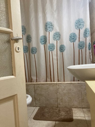 BUCHANAN 500 CASA ALBERDI 1 DORMITORIO JARDIN