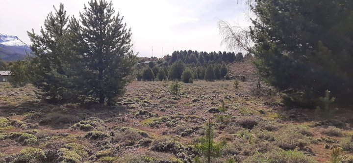 Lote Villa Lago Meliquina - San Martin de los Andes -