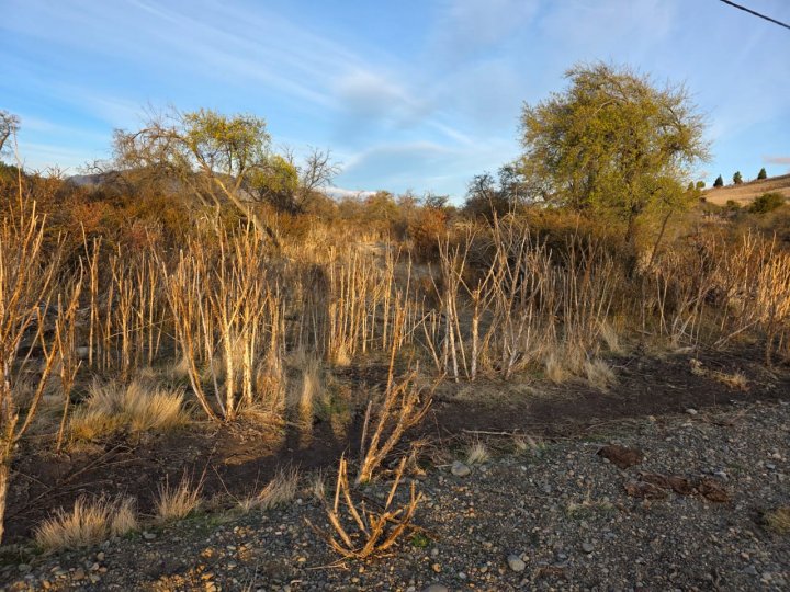 TERRENO EN ENTORNO NATURAL C/ENERGÍA ELÉCTRICA