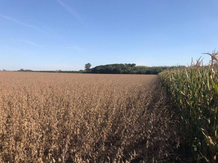 GRAN OPORTUNIDAD CAMPO en VENTA