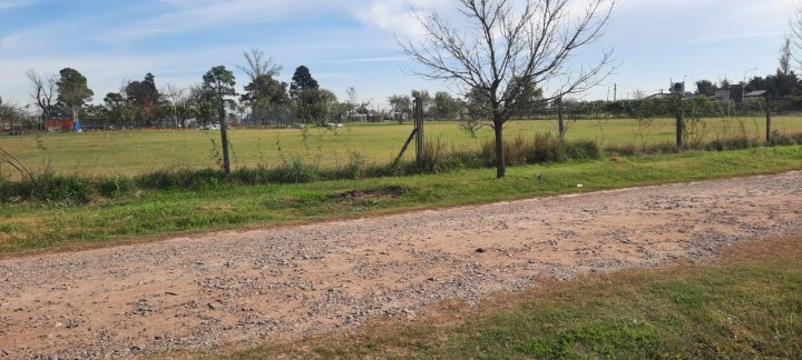 ROLDAN - TERRENO - PUNTA CHACRA