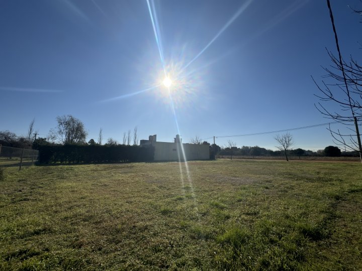 Lote 4 - Ibarlucea