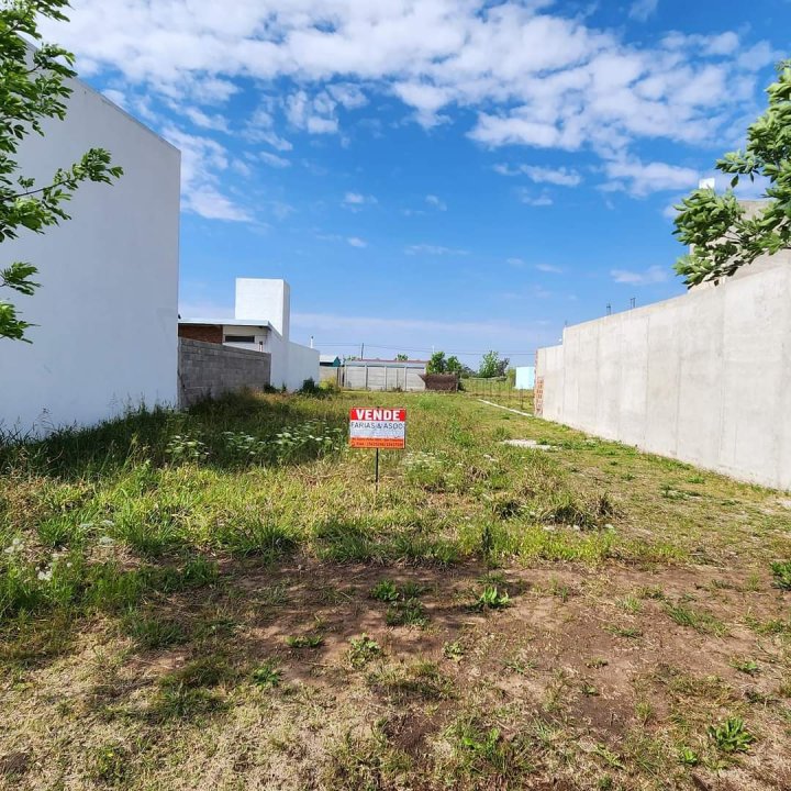 Terreno 12 x 37 mts para venta en Plaza San Francisco