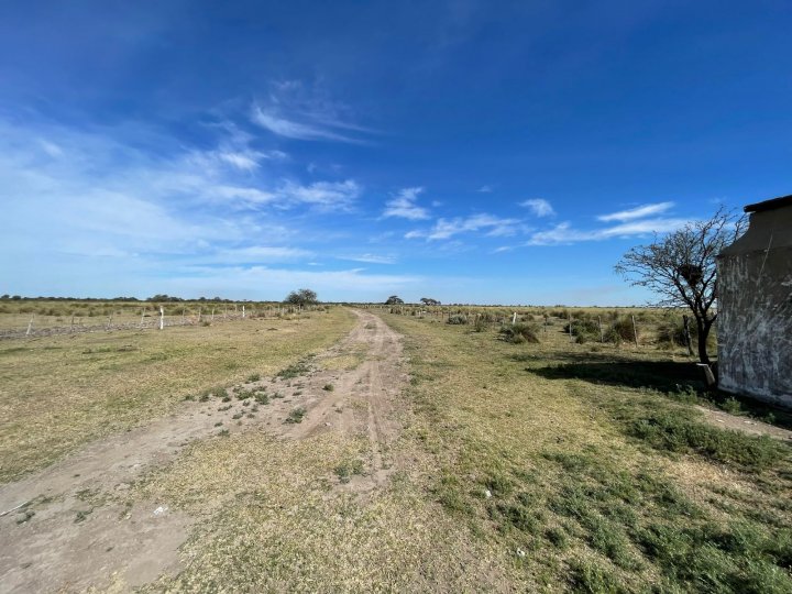 Vendo Campo Ganadero de 1050 has en zona Tres Lagunas, Provincia de Santiago del Estero