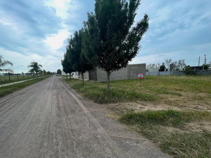Vendo Terreno 14 x 25 mts en Loteo Palmares III